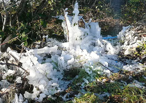 Ice built up around an outdoor pipe that split and sprayed water during a hard freeze