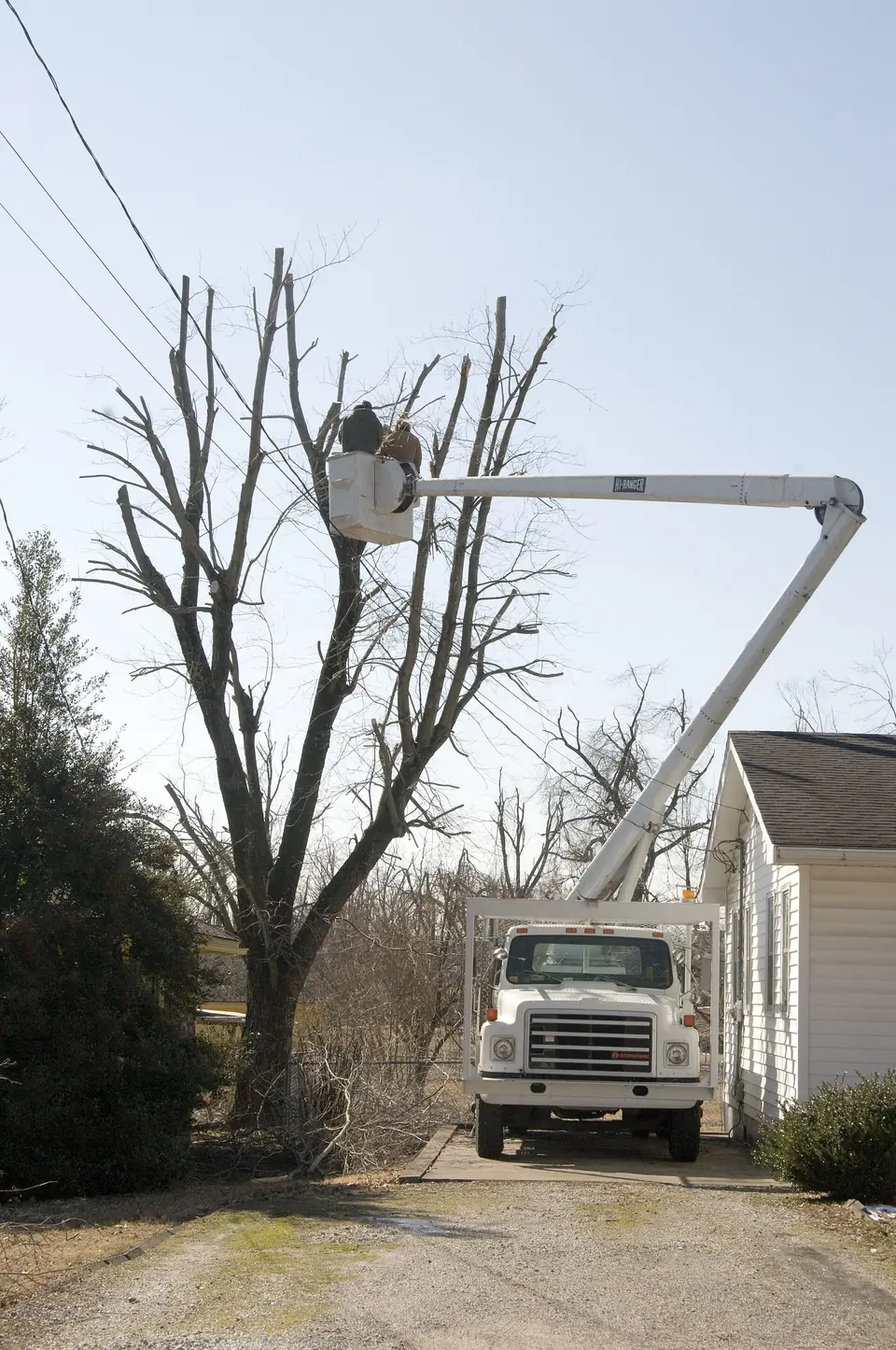 Utility crews in bucket trucks clearing trees from power lines after an ice storm